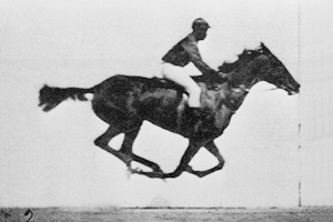 Galloping horse, animated in 2006, using photos by Eadweard Muybridge.