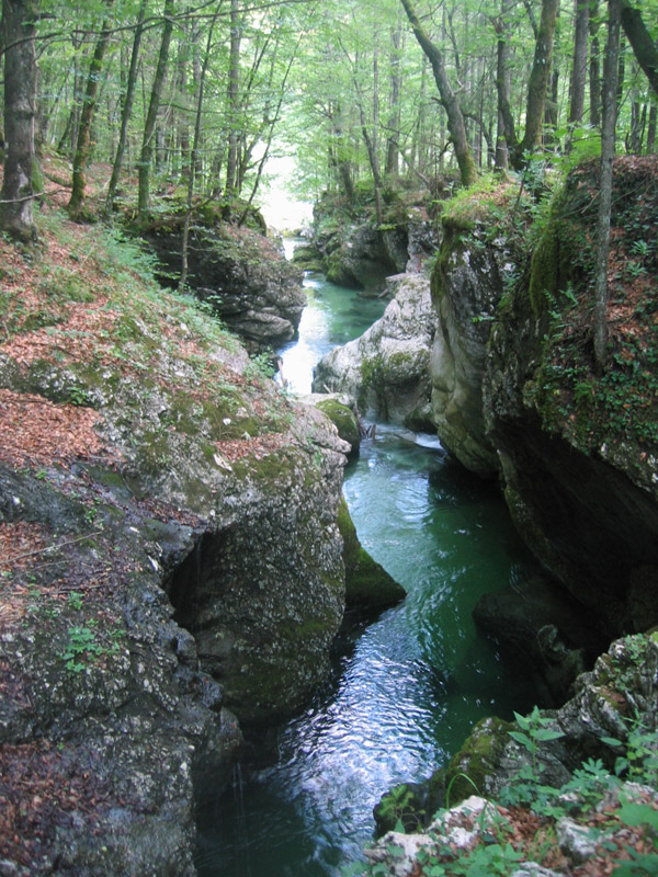 Posledice delovanja bohinjskega ledenika