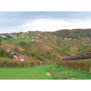 10_2_1-4.jpg<>Vinogradi