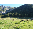1_planina.JPG<>Planina