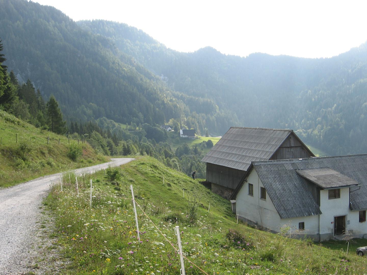 Samotna kmetija pod Olševo