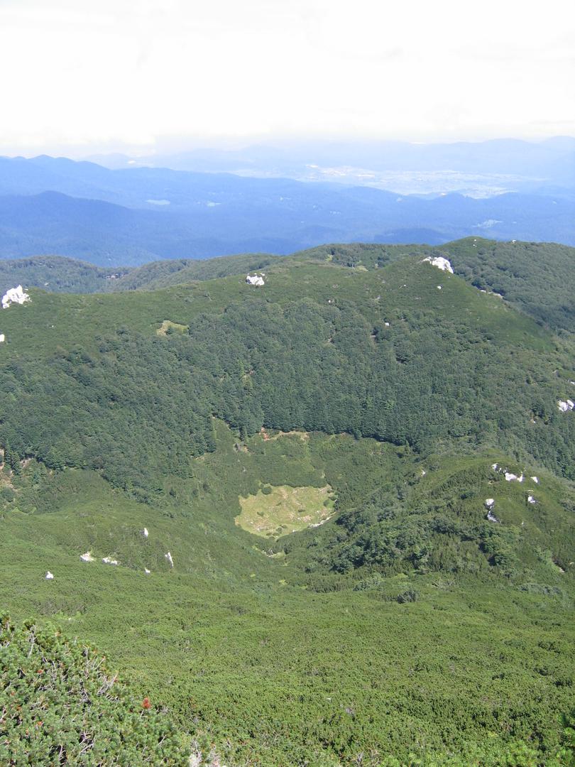  Snežnik, v višjih legah je poraščen s ruševjem