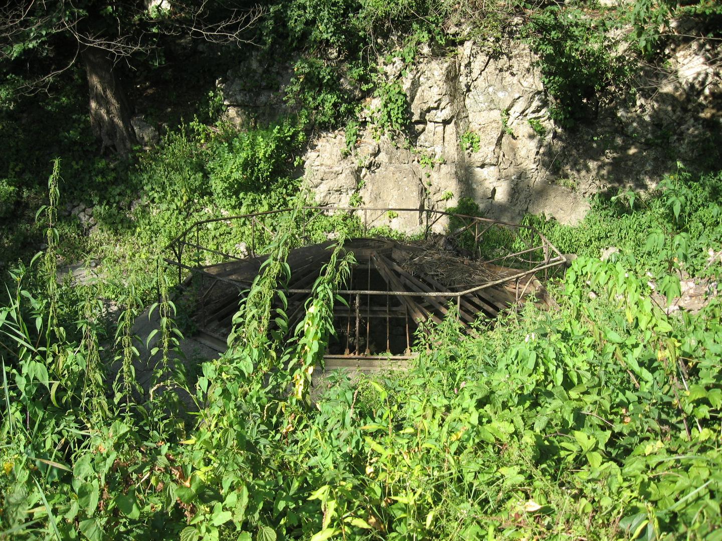 Požiralnik