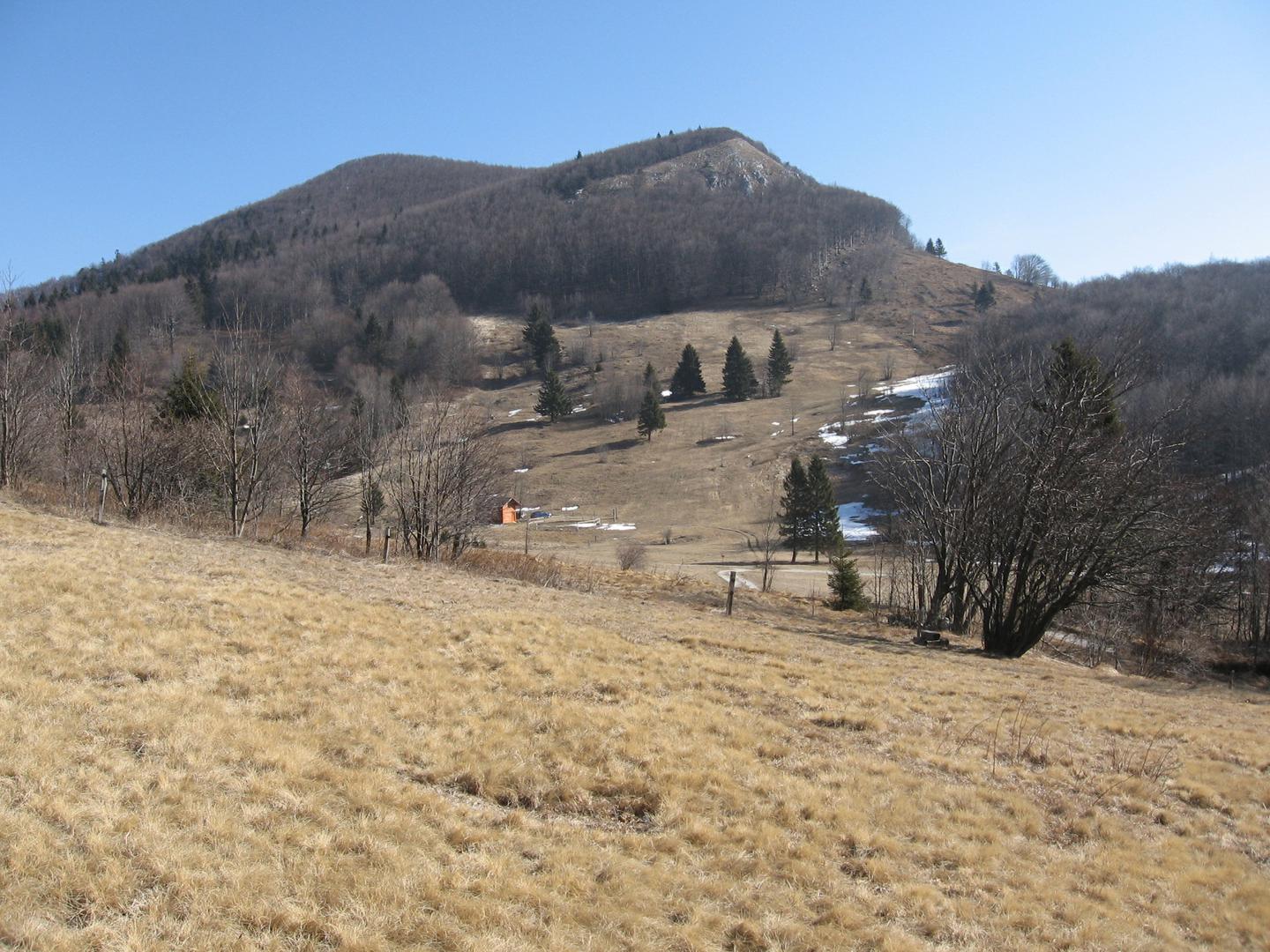 Hrušica