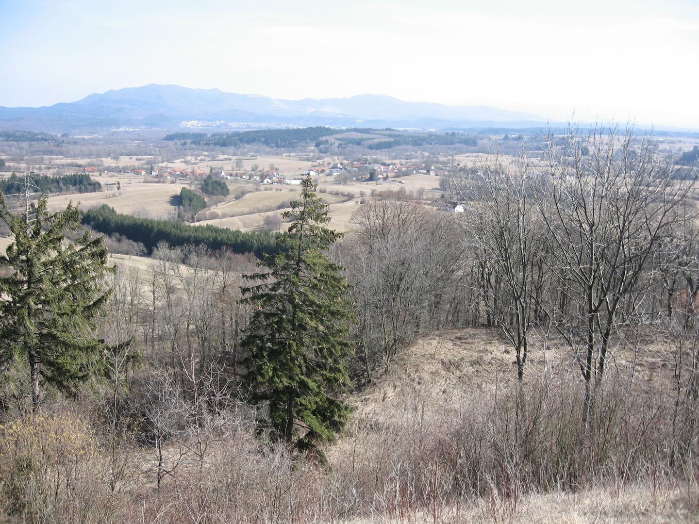 Pivška kotlina