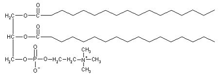 Formula fosfoglicerida lecitina 