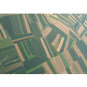 IMG_7810.png<>