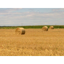 31072013248.jpg<>bale sena