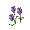 album2.png<>Prva slika
