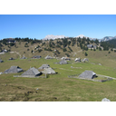 0322_velika_planina.jpg<>Visokogorski pašnik: Velika planina je eno redkih območij pri nas, kjer so ohranili pašo na tako visokih nadmorskih višinah.