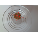 Predstavitev2.png<>Počakaj, da se igla umiri. Igla kaže smer sever-jug.