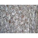 640px-Norway_Spruce_bark_detail.jpg<>Smrekino lubje