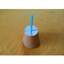 SAM_1697-1.jpg<>Vetrovnico prilepi na dno lončka. 