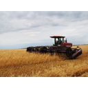 Swather.jpg<>Kombajn na pšeničnem polju