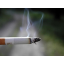 Cigarette_smoking.jpg<>
